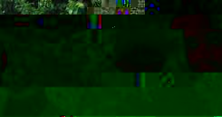 Chase Edwards and Son