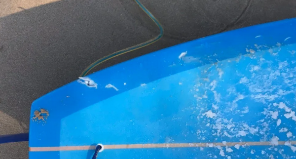 Hawaii shark attack 9-26-2019- a.png